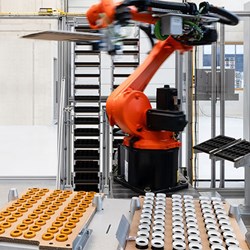 RoboDOT
