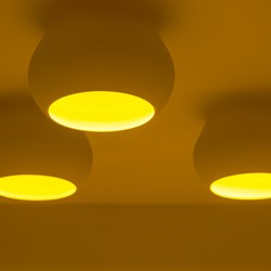 Yellow Room