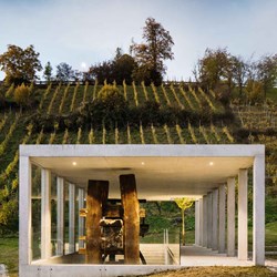 Weinpresse 